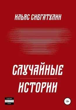 Ильяс Сибгатулин Случайные истории обложка книги