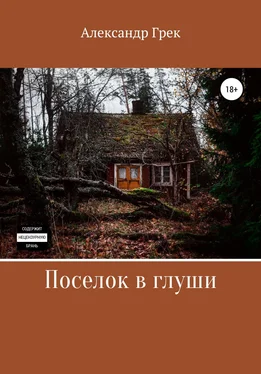 Александр Грек Поселок в глуши обложка книги