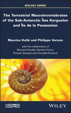 Maurice Hulle The Terrestrial Macroinvertebrates of the Sub-Antarctic Iles Kerguelen and Ile de la Possession обложка книги