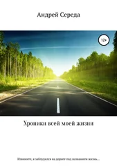 Андрей Середа - Хроники всей моей жизни