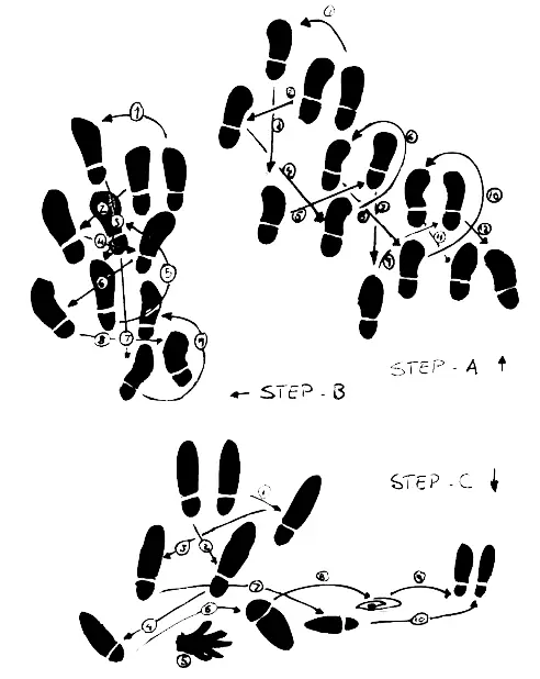 The samba is a very energetic dance with a rhythm that induces the dancer to - фото 50
