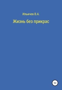 Валерий Ильичев Жизнь без прикрас обложка книги