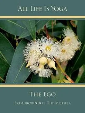 Sri Aurobindo All Life Is Yoga: The Ego обложка книги