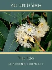 Sri Aurobindo - All Life Is Yoga - The Ego