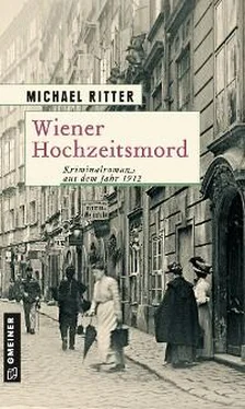 Michael Ritter Wiener Hochzeitsmord обложка книги