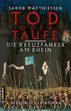 Jakob Matthiessen Tod oder Taufe - Die Kreuzfahrer am Rhein обложка книги