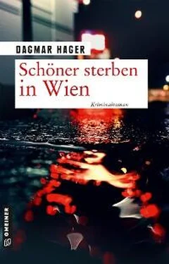 Dagmar Hager Schöner sterben in Wien обложка книги