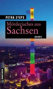 Petra Steps Mörderisches aus Sachsen обложка книги