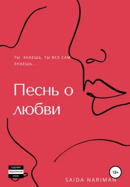 Саида Нариман Песнь о любви обложка книги