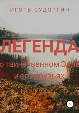 Игорь Судоргин Легенда о таинственном Элле и его друзьях обложка книги