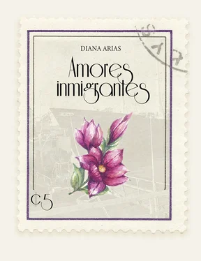 Diana Arias Amores inmigrantes обложка книги