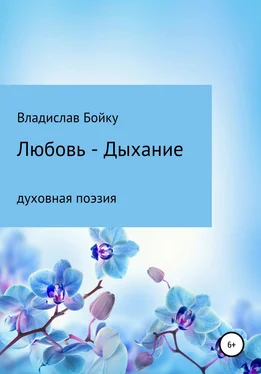 Владислав Бойку Любовь – Дыхание обложка книги