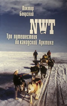 Виктор Боярский NWT. Три путешествия по канадской Арктике обложка книги