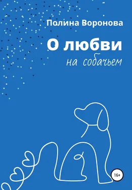 Полина Воронова О любви на собачьем обложка книги