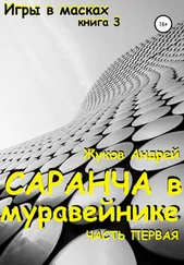 Андрей Жуков - Саранча в муравейнике