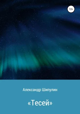 Александр Шипулин «Тесей» обложка книги