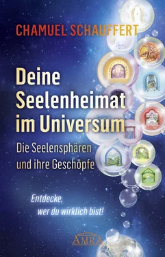 Chamuel Schauffert DEINE SEELENHEIMAT IM UNIVERSUM. Die Seelensphären und ihre Geschöpfe обложка книги