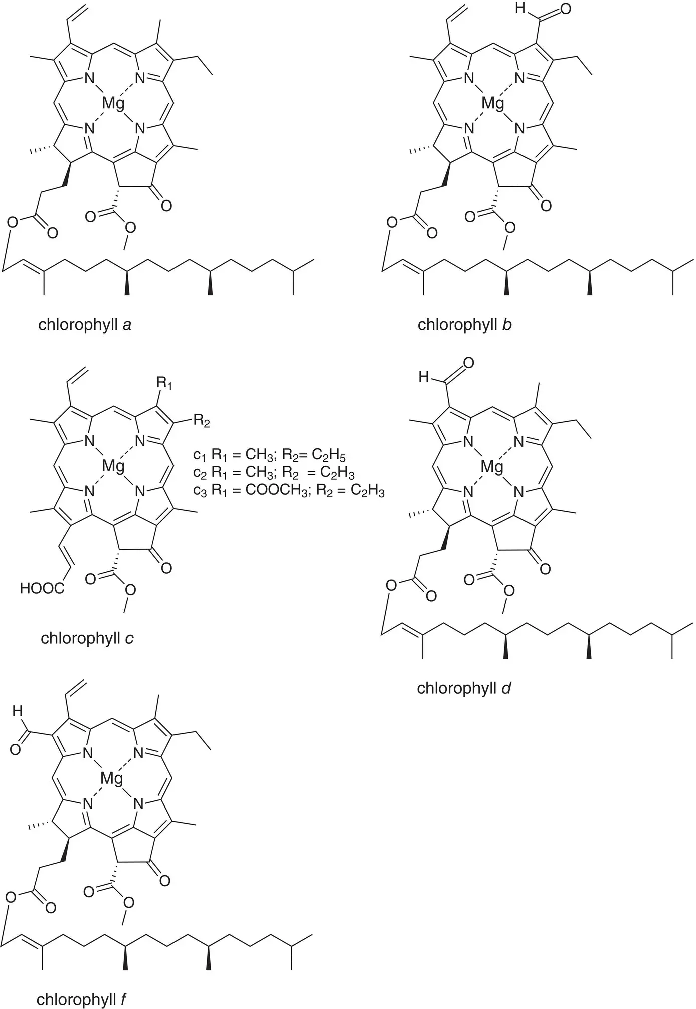 Figure 43 Chemical structures of chlorophylls a b c d and f R 1 R 2 - фото 30