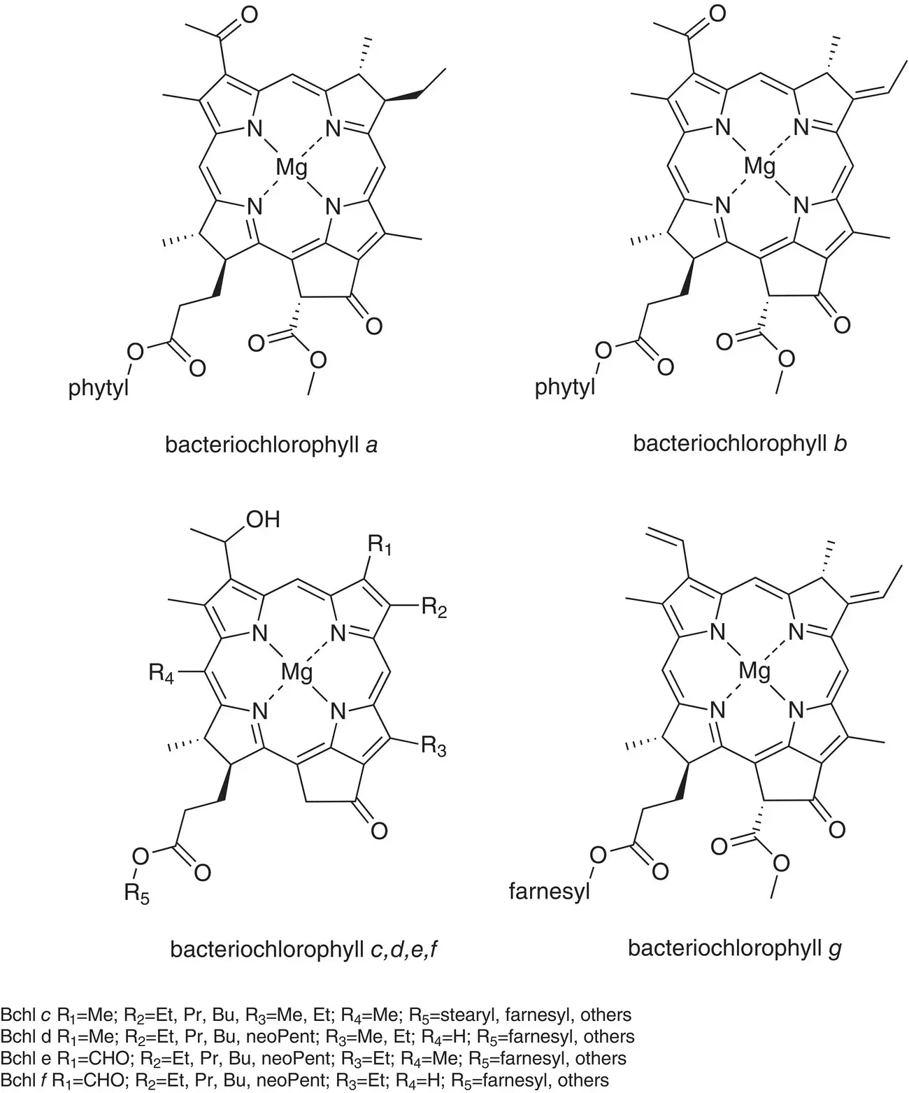 Figure 44 Chemical structures of bacteriochlorophylls a b c d e f and g - фото 31