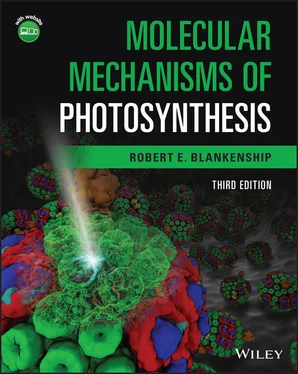 Robert E. Blankenship Molecular Mechanisms of Photosynthesis обложка книги