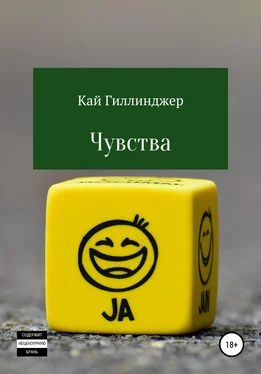 Кай Гиллинджер Чувства обложка книги