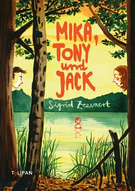 Sigrid Zeevaert Mika, Tony und Jack обложка книги