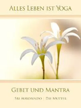 Die (d.i. Mira Alfassa) Mutter Gebet und Mantra обложка книги