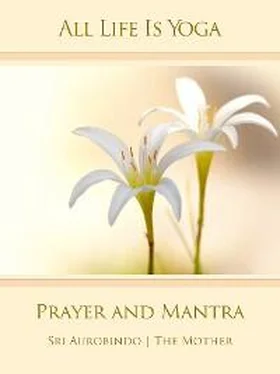 Sri Aurobindo All Life Is Yoga: Prayer and Mantra обложка книги