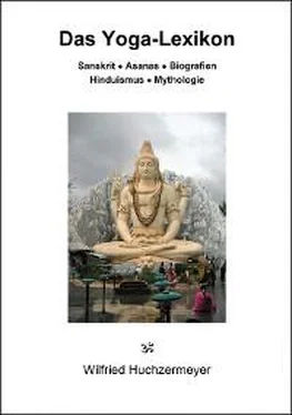 Wilfried Huchzermeyer Das Yoga-Lexikon обложка книги