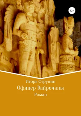 Игорь Струнин Офицер Вайрочаны обложка книги