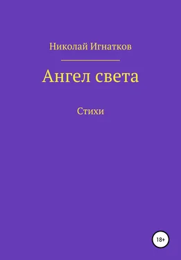 Николай Игнатков Ангел света обложка книги