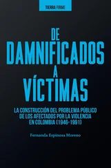 Fernanda Espinosa Moreno - De damnificados a víctimas