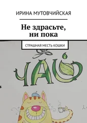 Ирина Мутовчийская - Ни здрасьте, ни пока. Страшная месть кошки