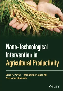 Javid A. Parray Nano-Technological Intervention in Agricultural Productivity обложка книги