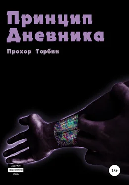 Прохор Торбин Принцип Дневника обложка книги