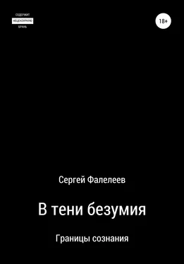 Сергей Фалелеев В тени безумия обложка книги