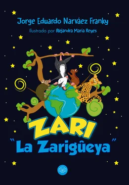 Jorge Eduardo Narváez Franky Zari la Zarigüeya обложка книги