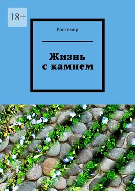 Контемир Жизнь с камнем обложка книги