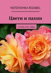 Notdivohka Rozabel - Цвети и пахни. (Стихи 2021 года)