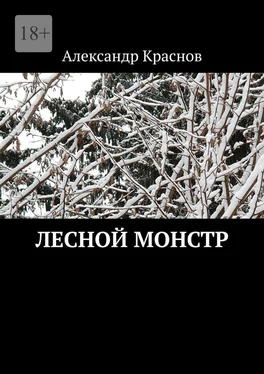 Александр Краснов Лесной монстр обложка книги