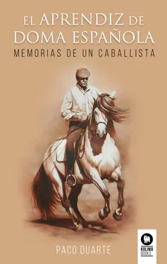 Francisco José Duarte Casilda El aprendiz de doma española обложка книги