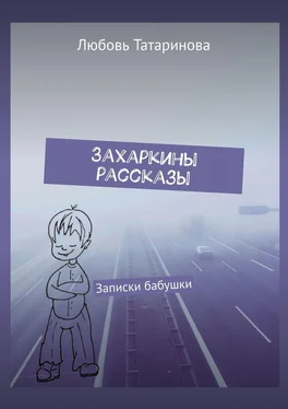 Любовь Татаринова Захаркины рассказы. Записки бабушки обложка книги