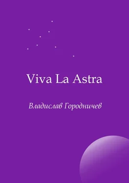 Владислав Городничев Viva La Astra обложка книги