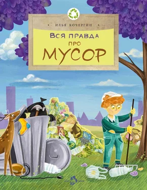 Илья Кочергин Вся правда про мусор обложка книги