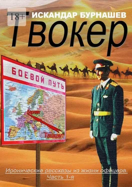 Искандар Бурнашев Твокер. Иронические рассказы из жизни офицера. Часть 1 обложка книги