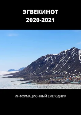 Александр Спиридонов ЭГВЕКИНОТ. 2020—2021. Информационный ежегодник обложка книги