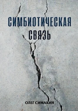 Олег Симакин Симбиотическая связь обложка книги