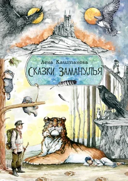 Лена Каштанова Сказки Заманулья обложка книги