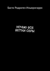 Басти Родригез-Иньюригарро - Ночью все ветки серы