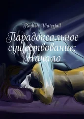 Radish Waterfall - Парадоксальное существование - Начало